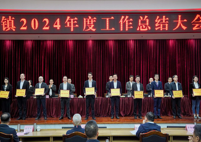 双项殊荣！pg电子电声荣登石排镇2024年度“双十强”榜单